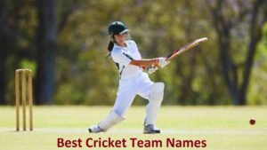 Best Cricket Team Names