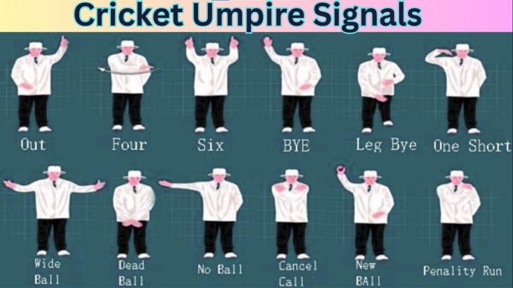 Cricket Umpire Signals