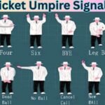 Cricket Umpire Signals