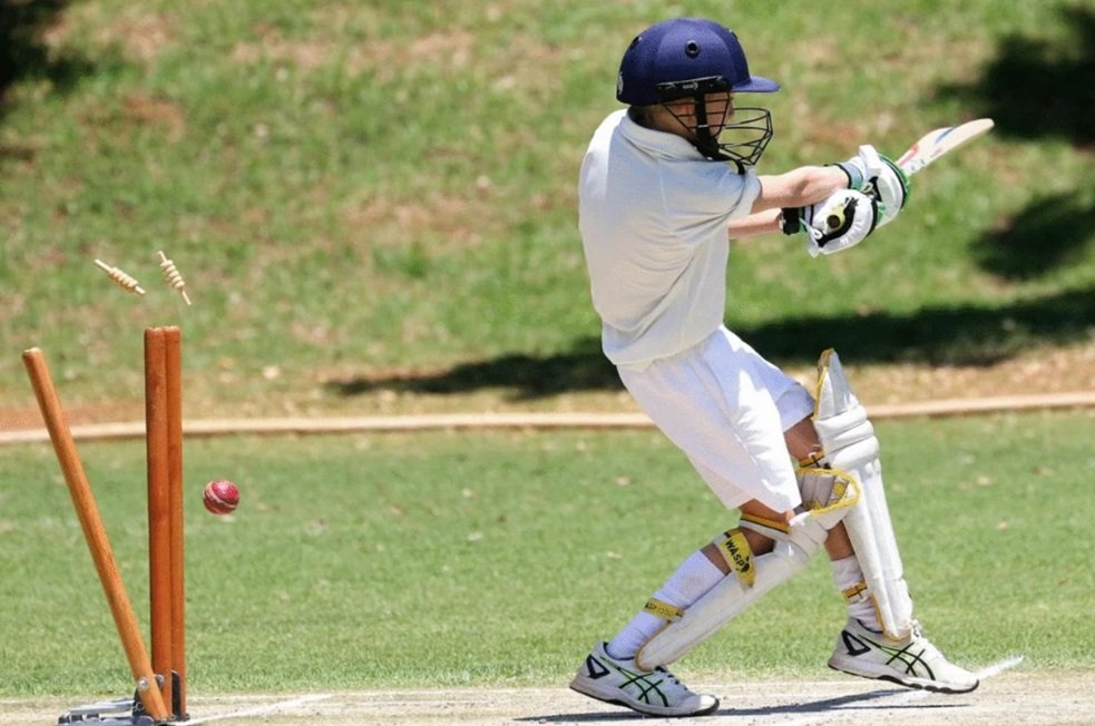 Enjoy Cricket and Other Sports