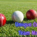Unique Cricket Team Names