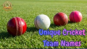 Unique Cricket Team Names