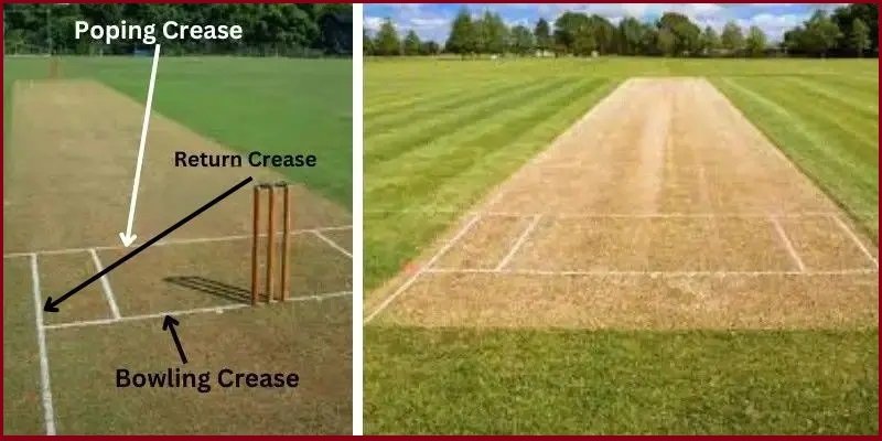 How Many Creases Are There in Cricket?
